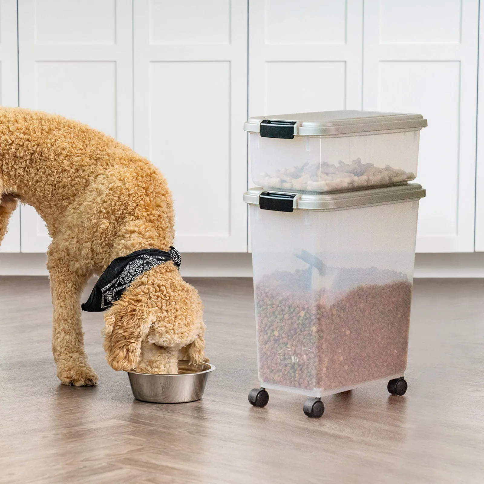 3-Piece WeatherPro® Airtight Pet Food Container Combo, Chrome