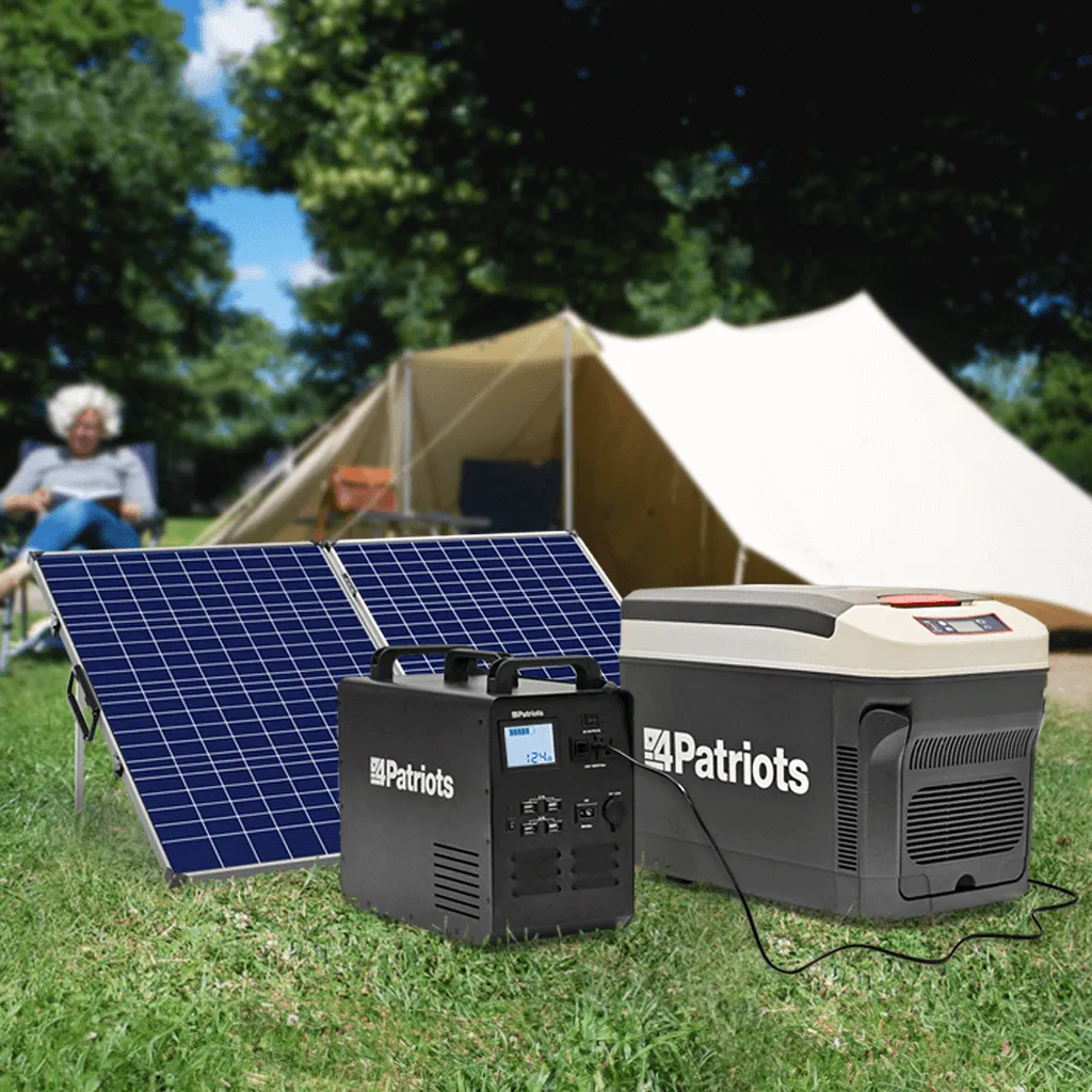 "Food Saver" Backup Power Generator   Portable Fridge Package