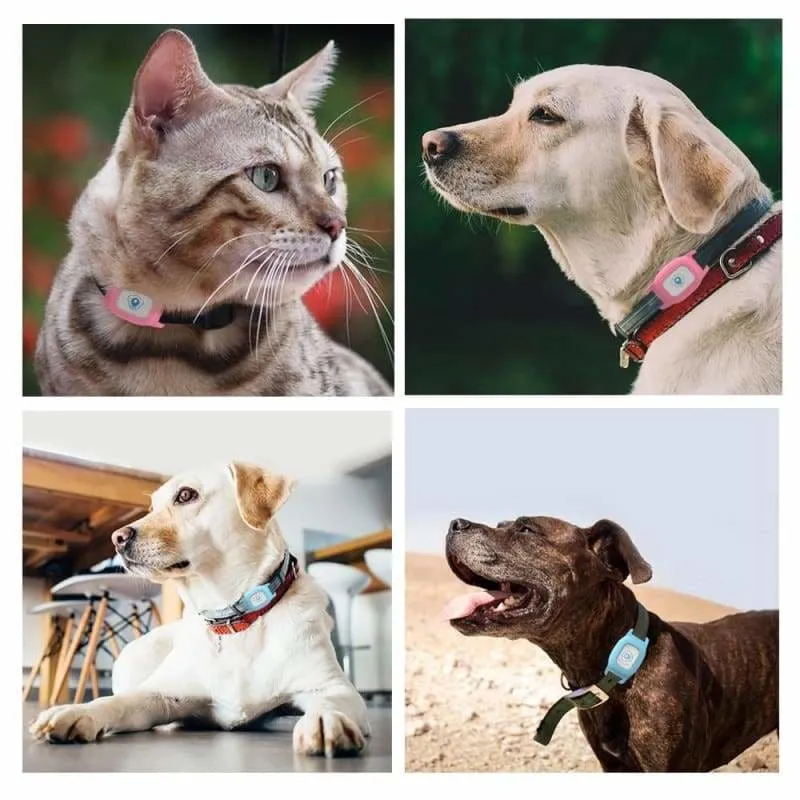 Smart GPS Pet Collar Tracker