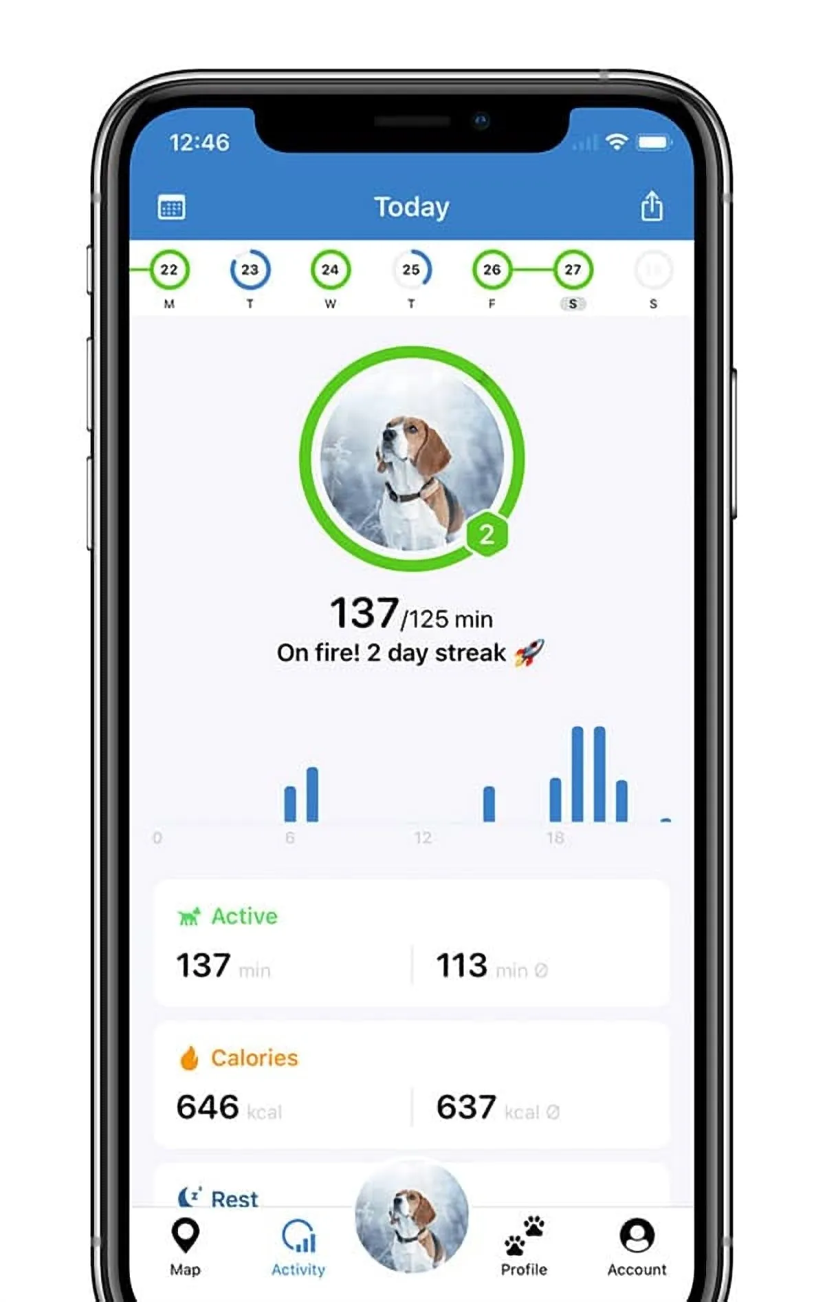 Tractive GPS Dog Tracker 4