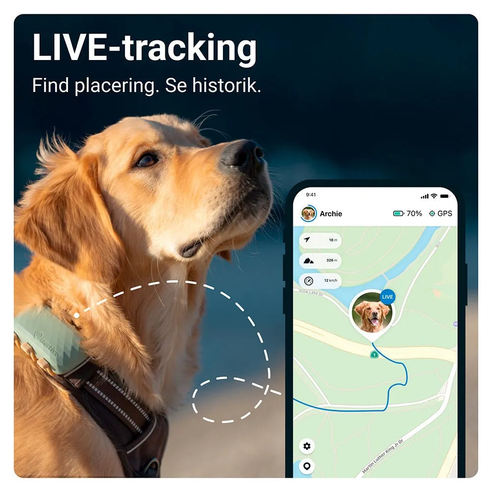 Tractive GPS Dog XL - GPS Tracker til Hund - Grøn