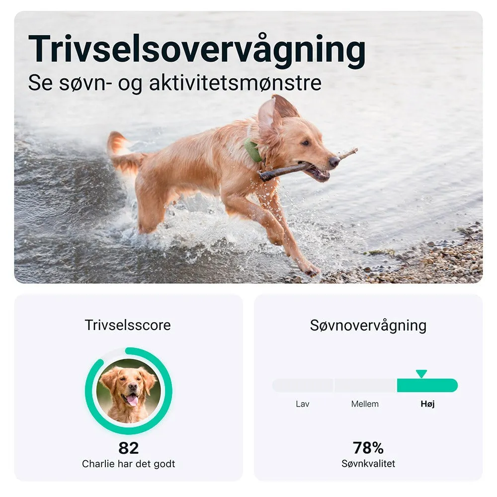 Tractive GPS Dog XL - GPS Tracker til Hund - Grøn